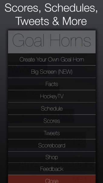 Hockey Goal Horns