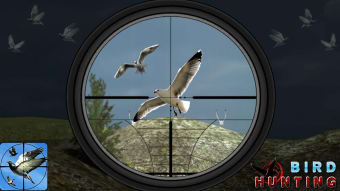 Flying Bird Hunting Games