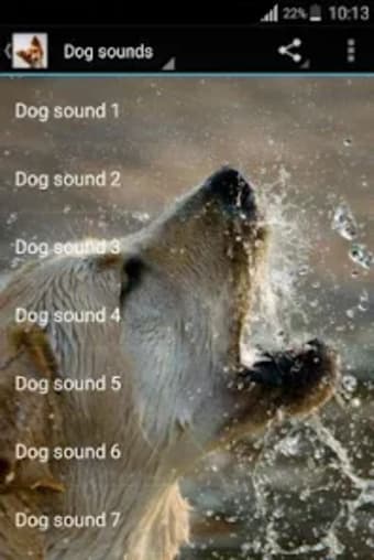 Dog sounds