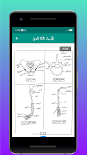 الامتياز في الاحياء للثانوية العامة ثالثة ثانوي