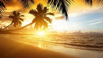 Beach Sunset Live Wallpaper