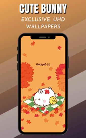 Cute Bunny Wallpapers HD