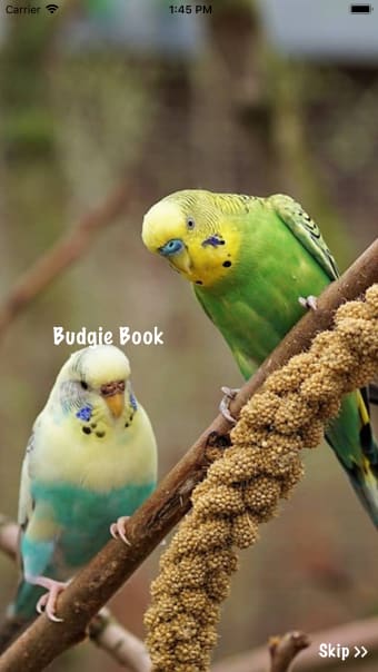 Budgie Book