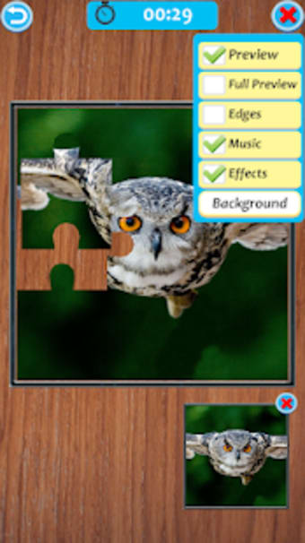 Owl Jigsaw Puzzle