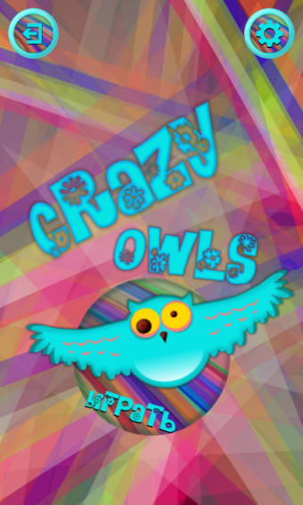 Crazy Owls