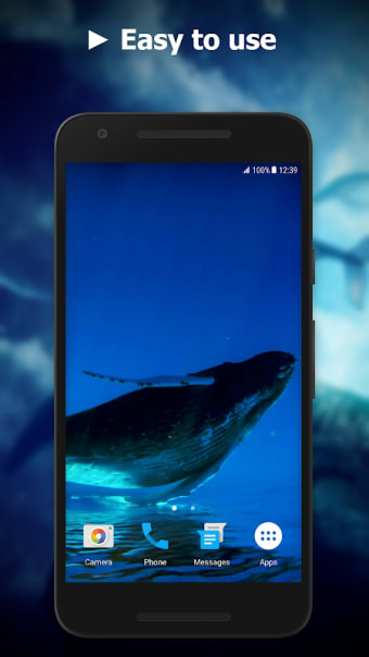 Blue Whale Video Live Wallpaper