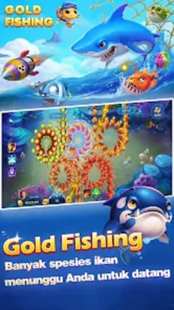 Gold Fishing-Daily Catch