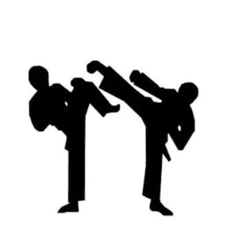 Taekwondo technique