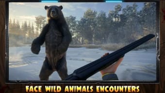 Animal Hunting Safari Shooting