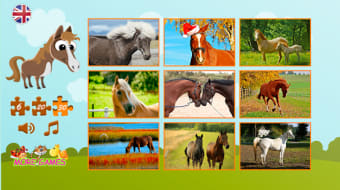 Puzzles about horses