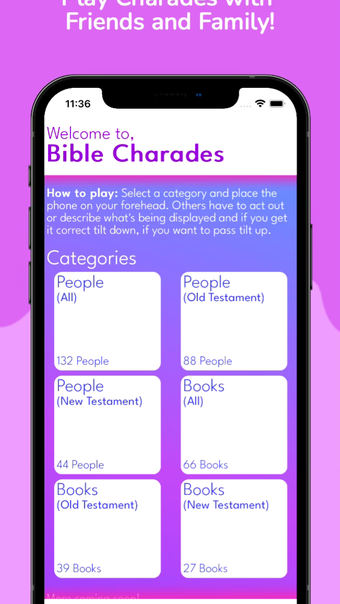 Bible Charades