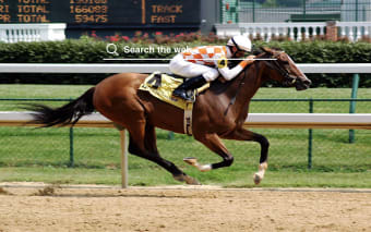 Horse Racing HD Wallpapers New Tab Theme