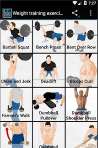 Weight training exercises