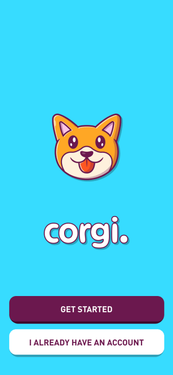 Corgi - Hot Takes Hot Prizes