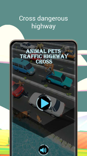 Animal Pets Traffic Highway