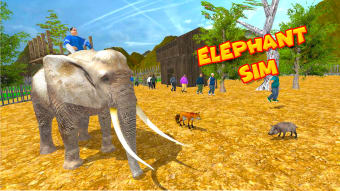 Elephant Transport Simulator