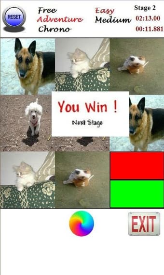 Pets- Funny Animals Cards Game