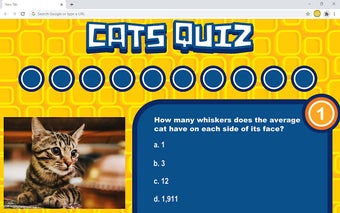 Cats Quiz Game