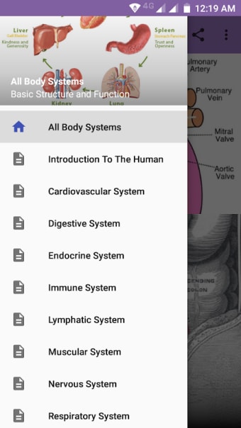 All Body Systems