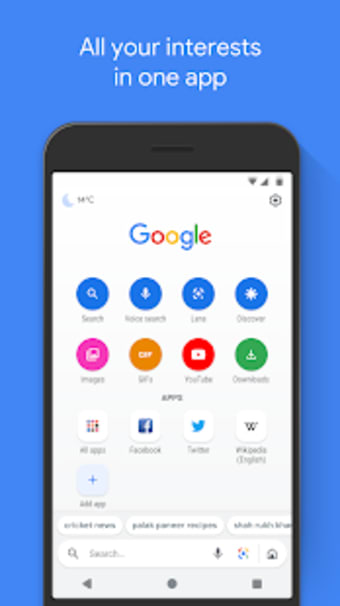 Google Go: A lighter faster way to search