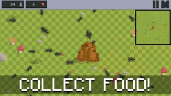 Ant Colony - Simulator early access