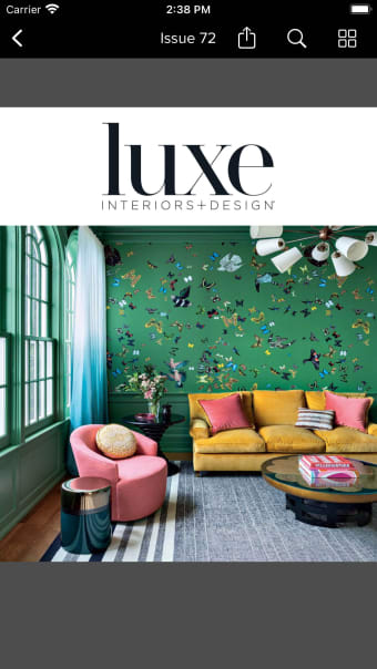 Luxe Interiors  Design