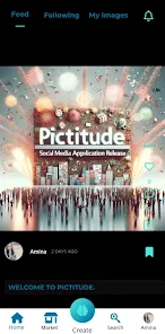 Pictitude