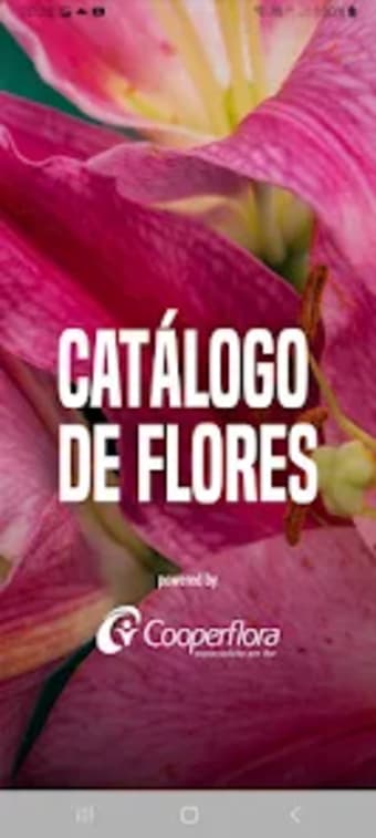 Catálogo de Flores