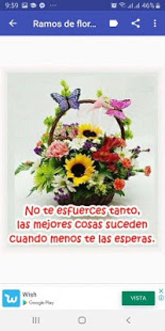 Flores con frases bonitas