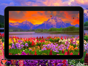 Valley of Flowers PRO Live Wallpaper