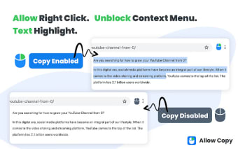 Allow Copy - Enable Right Click