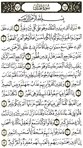 القرآن الكريم - ورش عن نافع