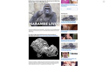 Harambe Lives