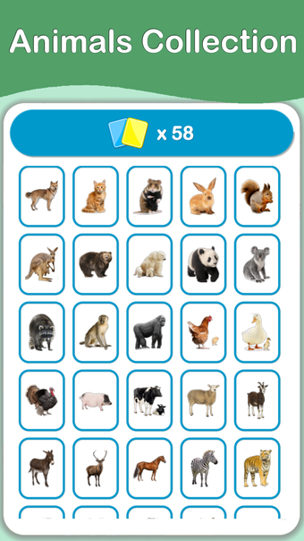 Animals Cards : Learn English