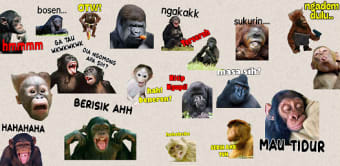 Stiker Monyet Monkey Lucu WA