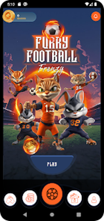 Furry Football Frenzy