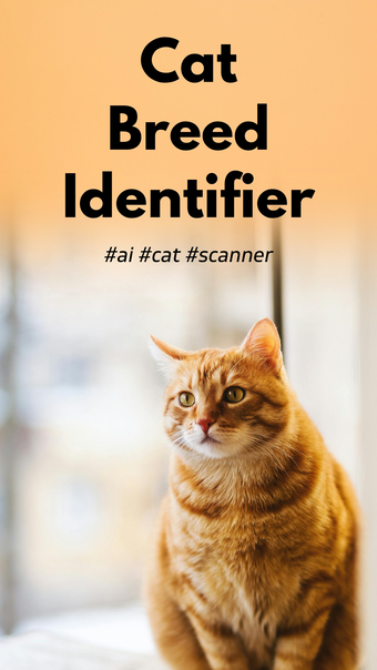 Cat Breed Identifier