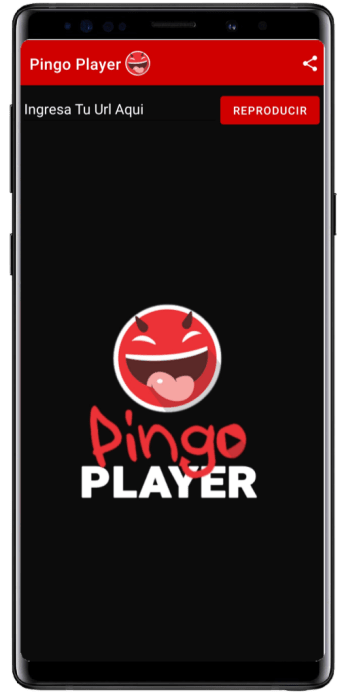 Pingo Player