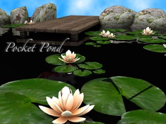 Pocket Pond HD