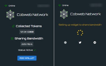 Cobweb Network