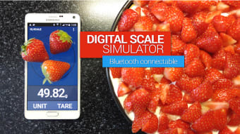 IQ Digital scale simulator
