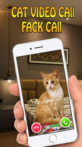 Cat Call You : Cat Video Call  Video Call prank