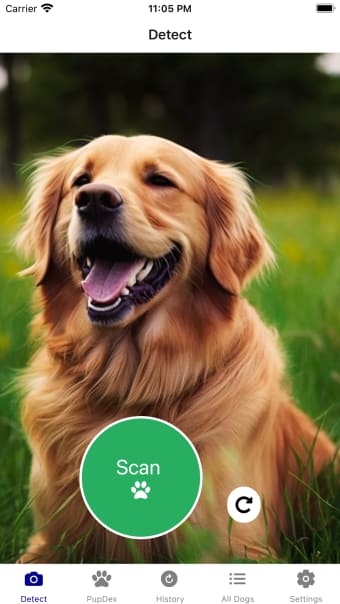 Dog Breed Identifier - PupDex