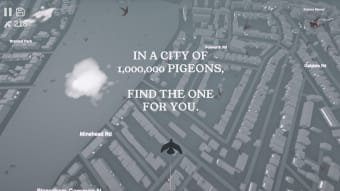 Pigeon: A Love Story