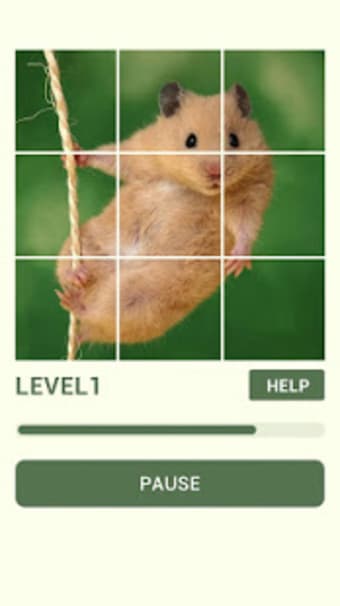 Hamster Puzzle-Puzzle Cricetulu