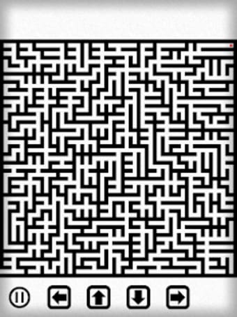 Exit Classic Maze Labyrinth