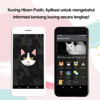 Black and White Cat: Information About Cat Meow