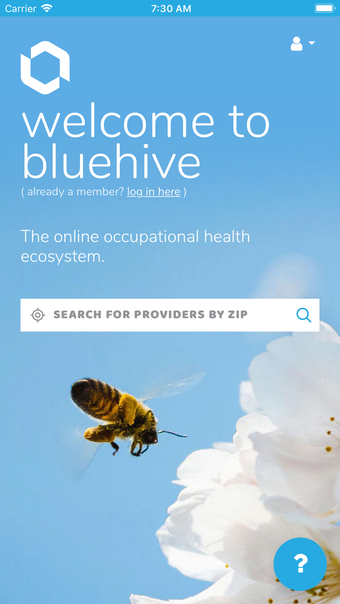 BlueHive.com