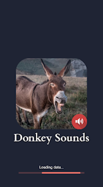 Donkey Sounds