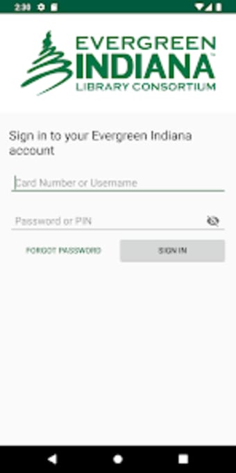 Evergreen Indiana
